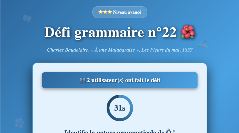 Défi grammaire n°22